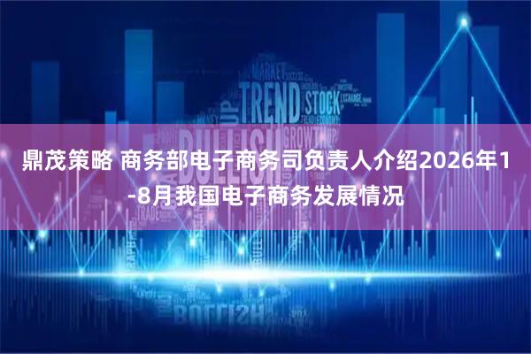 鼎茂策略 商务部电子商务司负责人介绍2026年1-8月我国电子商务发展情况
