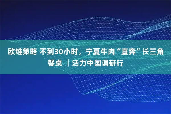 欧维策略 不到30小时，宁夏牛肉“直奔”长三角餐桌 ｜活力中国调研行